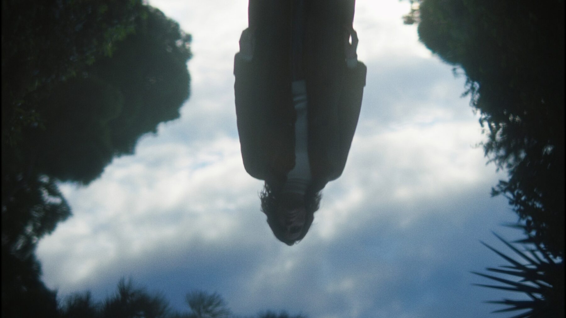 Foss_ARCADIA LAKE_clean